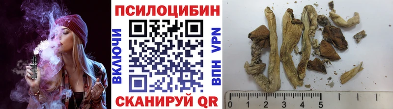 Псилоцибиновые грибы Psilocybine cubensis  Чулым 